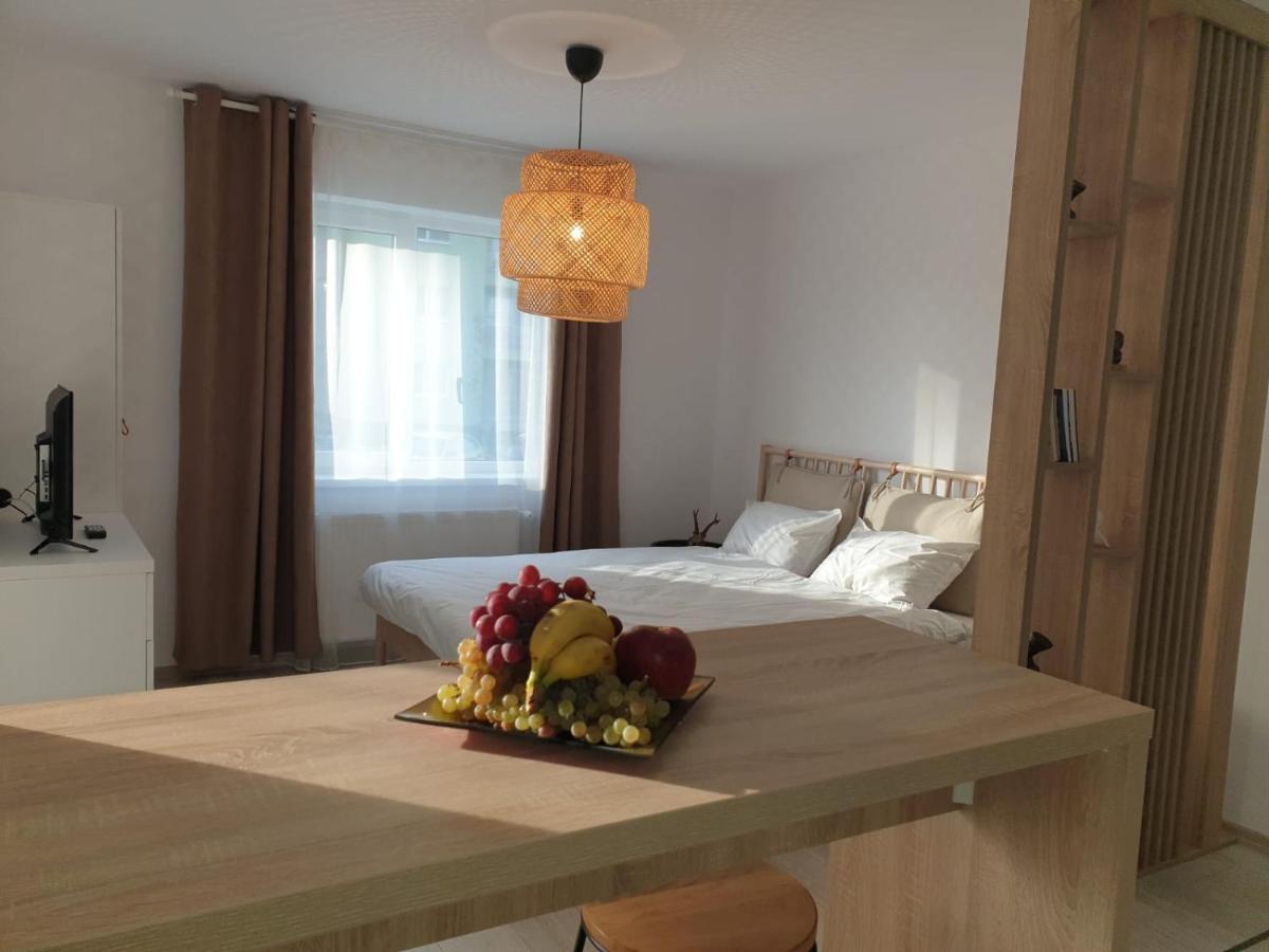 Suite Life Brasov Coresi Экстерьер фото
